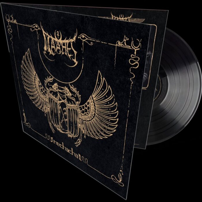 || ++PREORDER++ LP | Nechacha | Gatefold